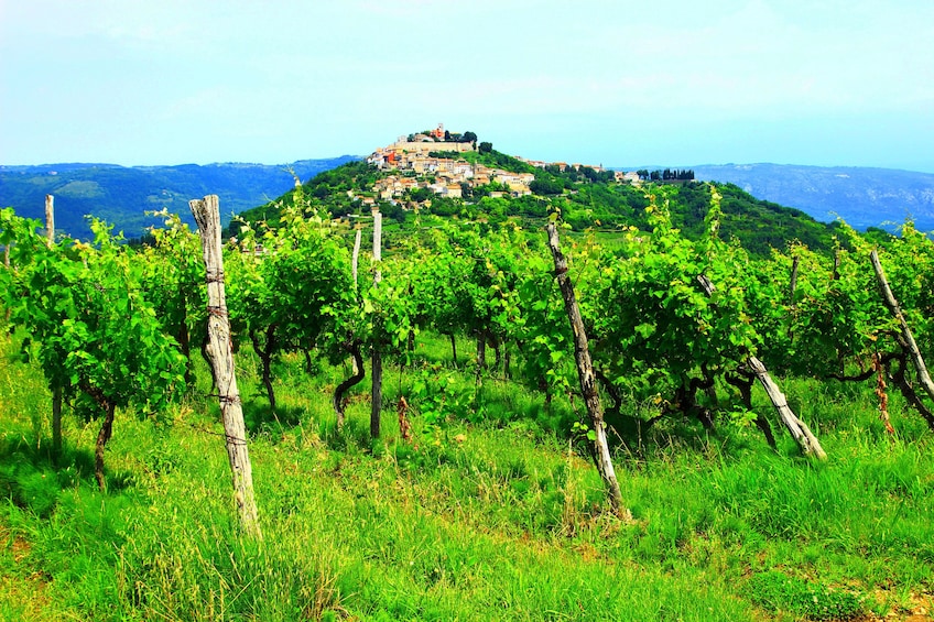 Flavours of Countryside