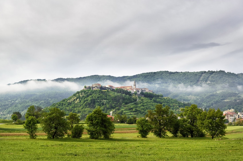 Flavours of Countryside
