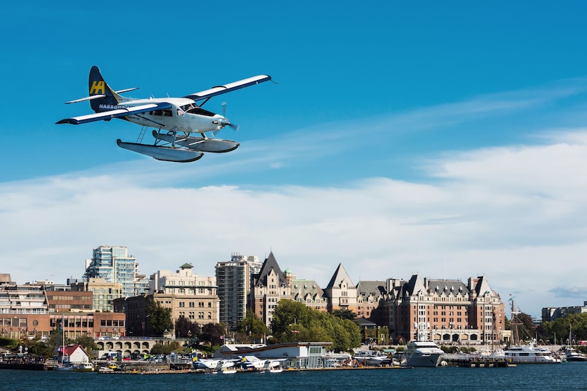 Victoria Whale Watching Adventure with Seaplane & Cruise