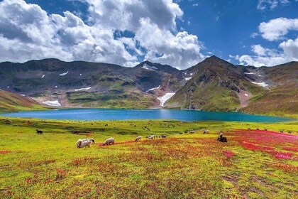 10 Days Hunza Nagar Naltar Valley Experience