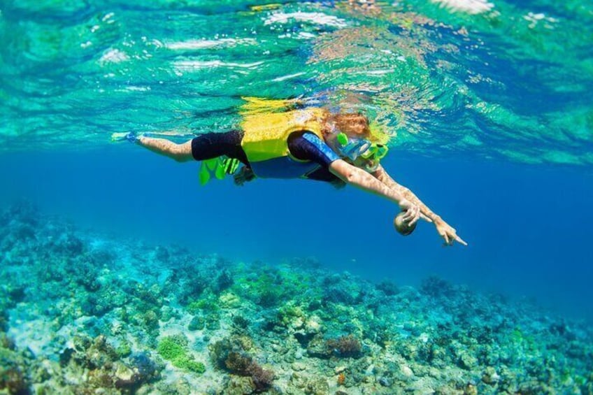 Nusa Lembongan Island: Snorkeling & Mangrove Forest Day Tour