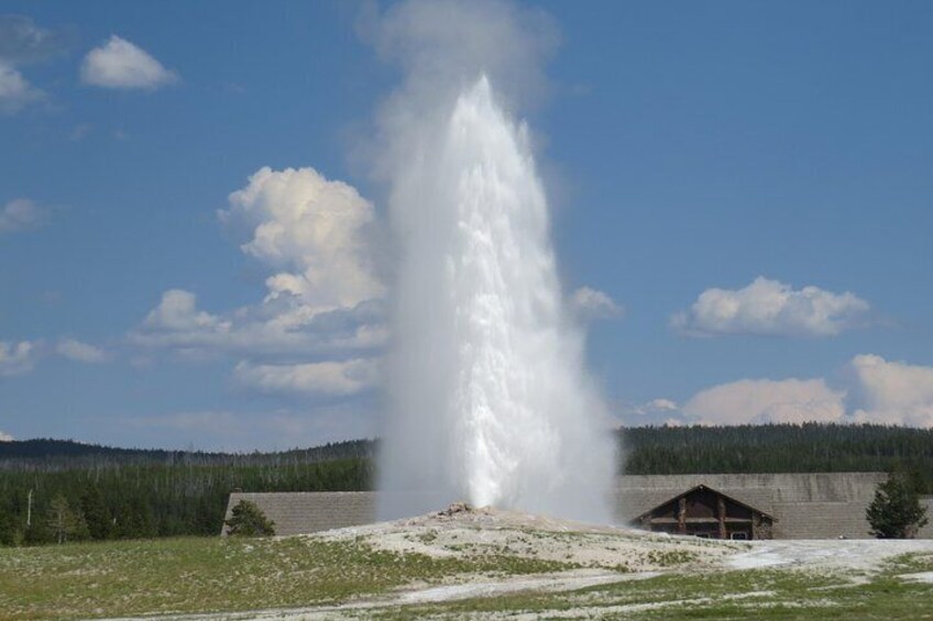 Yellowstone's Old Faithful