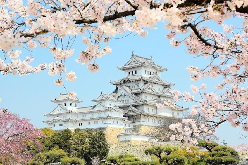 Himeji Half-Day Private Tour with Nationally-Licensed Guide