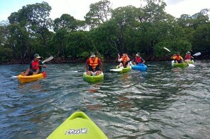 Bioluminescence Night Kayaking at Havelock Island