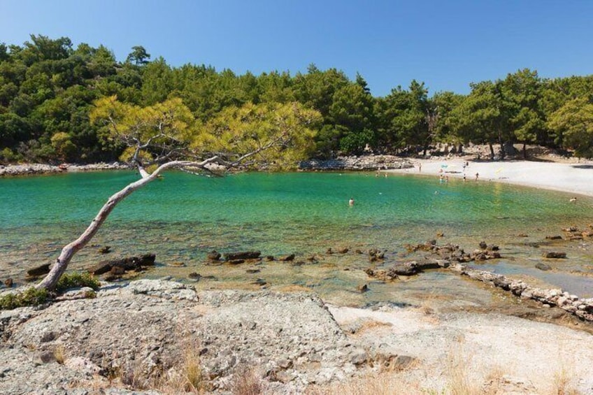 Phaselis, Ulupinar, Khimera, Çirali, Olympos Beach Tour