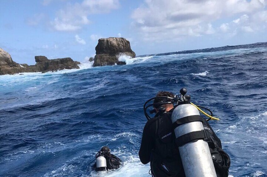 Private Group Day Diving Safari on Catamaran from Sint Maarten.