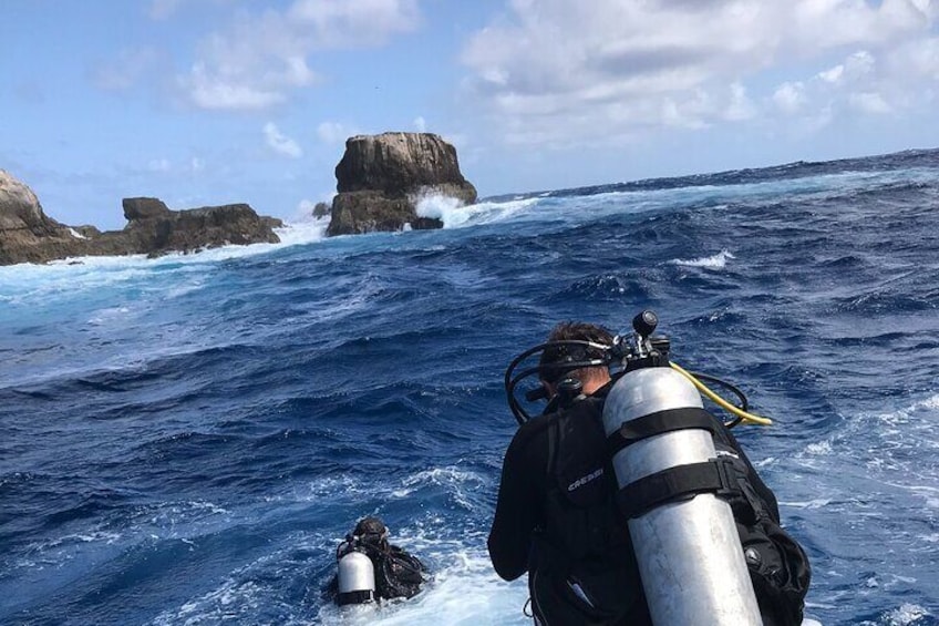 Private Group Day Diving Safari on Catamaran from Sint Maarten.