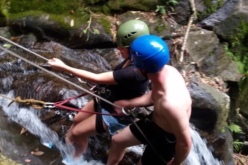 Tijuca National Park Hike and Waterfall Rappelling