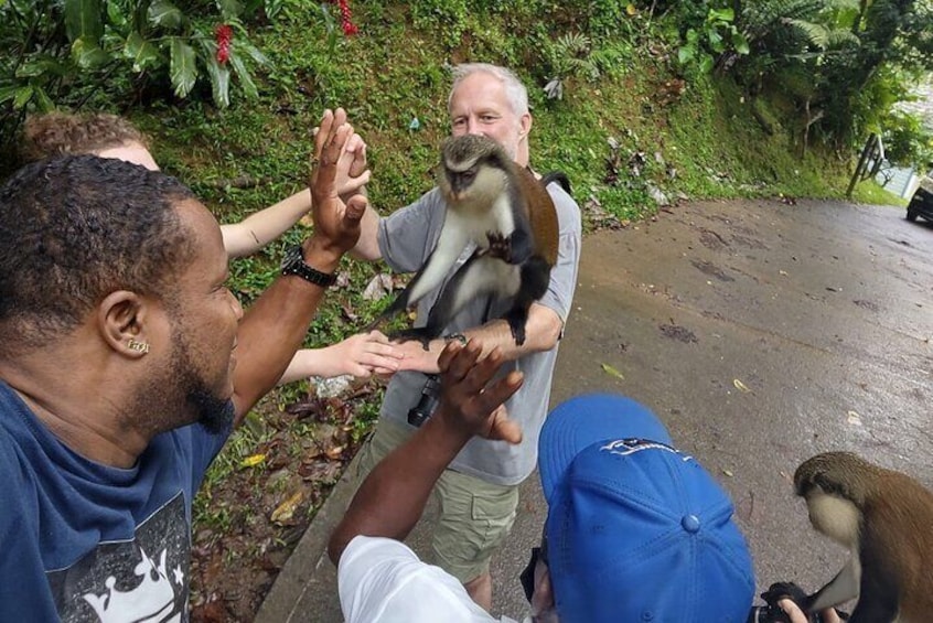 Grand Tours Grenada, Your friendly, Personal and safe Introduction to Grenada