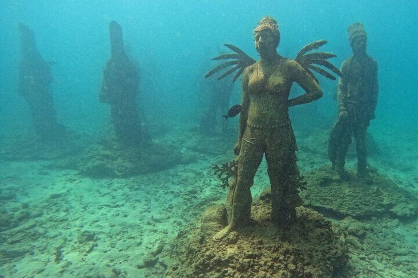 4-hour snorkel cruise to Underwater Sculptures with boat dogs