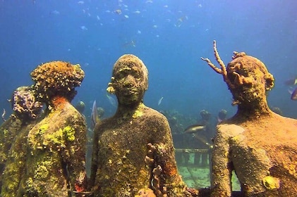 4-uur durende snorkelcruise naar onderwatersculpturen met boothonden