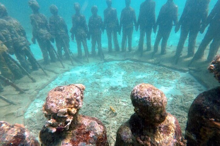 4 hours half day sail & snorkel cruise Double Dip to Underwater Sculpture Park