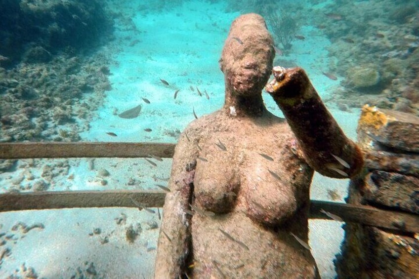 4 hours half day sail & snorkel cruise Double Dip to Underwater Sculpture Park