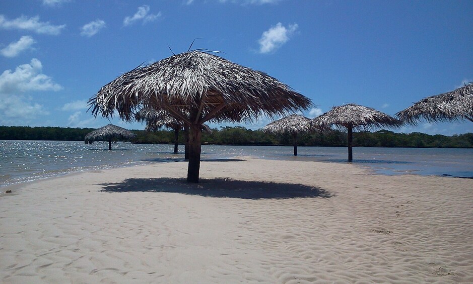 Tour To Croa Goré And Namorados Island