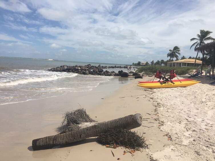 Tour To Saco Beach from Aracaju