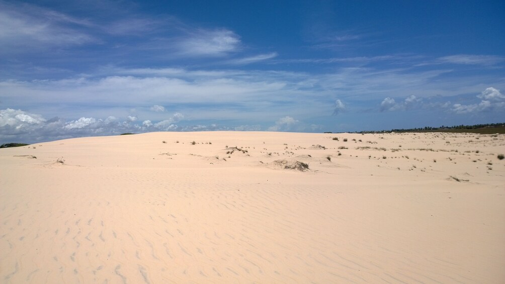 Tour To Saco Beach from Aracaju