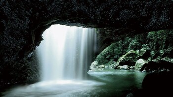 Glowworm Cave & Natural Bridge Tour