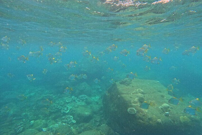 Angel Rock Snorkeling Site 