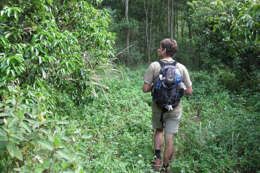 Full day hikking in Jungle of Cat Ba National park