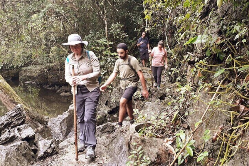 Full day hikking in Jungle of Cat Ba National park