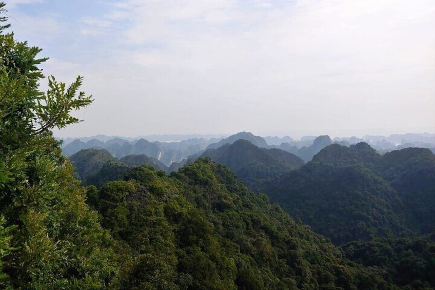 Full day hikking in Jungle of Cat Ba National park