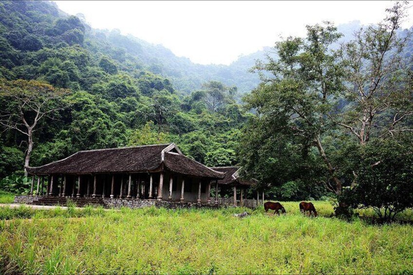 Old House in Viet Hai Village