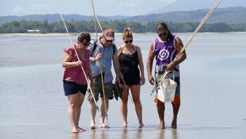 Daintree Rainforest with Aboriginal Coastal Walk