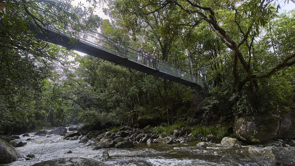 Daintree Rainforest with Aboriginal Coastal Walk