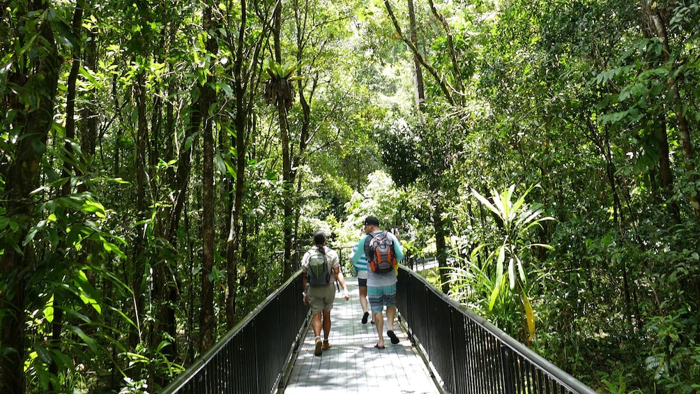 Group traverses across a walking bridge in Australia