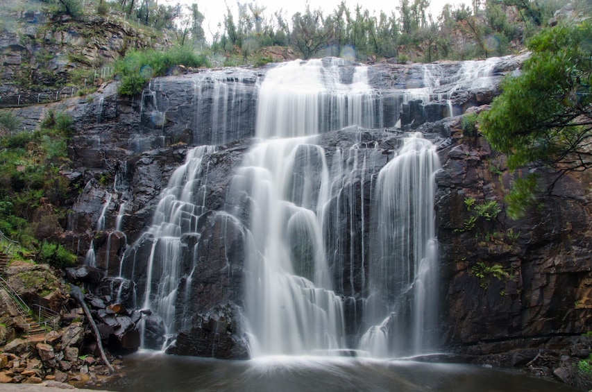 2-Day Melbourne to Adelaide Overland Touring in Small Groups