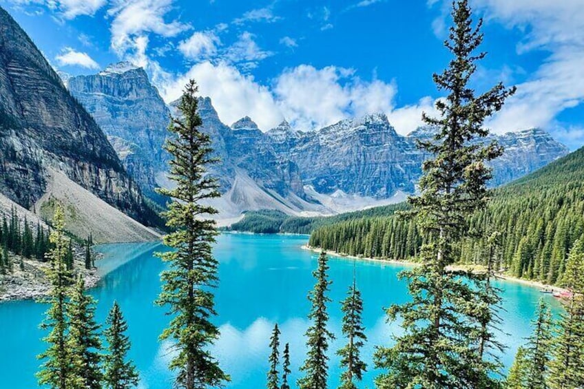 Day Trip to Lake Louise, Moraine Lake, Yoho from Calgary, Banff