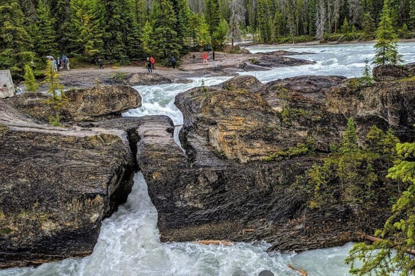 Lake Louise, Moraine Lake and Yoho national park Day Trip