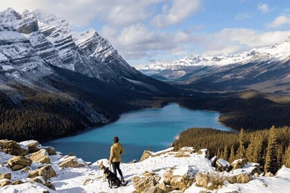 Lake Minnewanka, Peyto Lake, Bow Lake