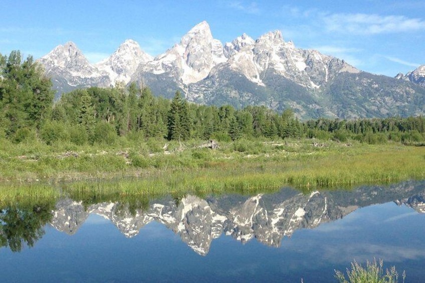 Grand Teton National Park - Full-Day Guided Tour from Jackson Hole