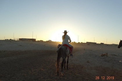 Horse Riding Two Hours At Amazing Desert From Sharm El Sheikh - Sharm El Sh...