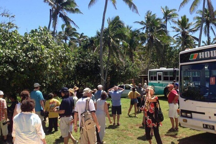 Guests arriving @ Anahulu Cave n Anahulu Beach 