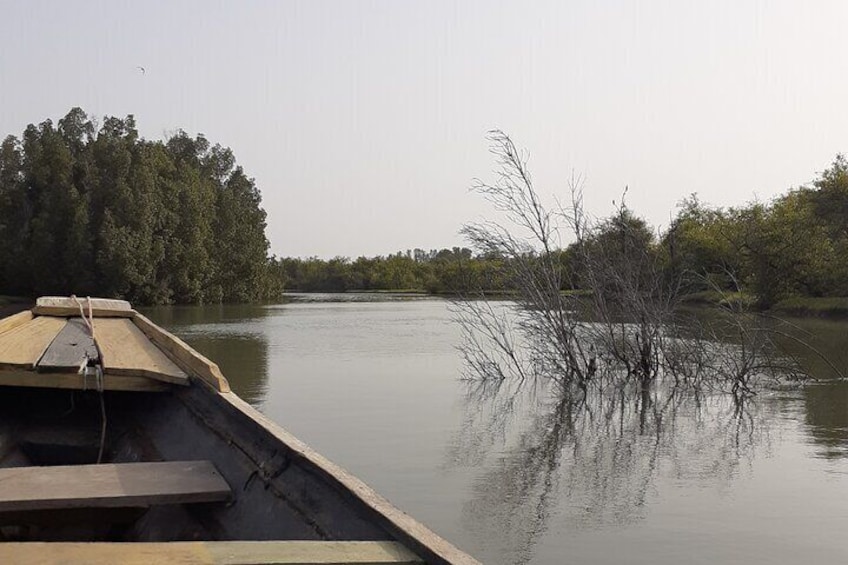 Birdwatching tours