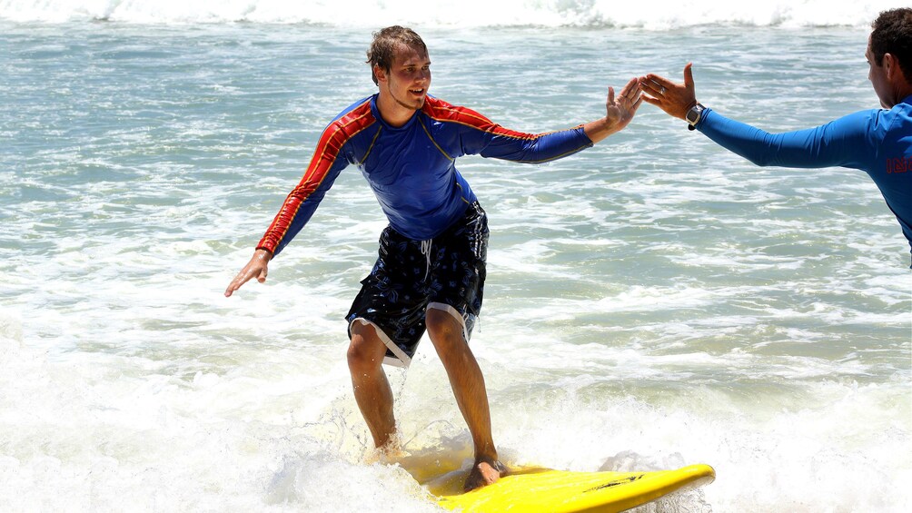 paradise surf