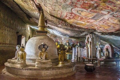 Excursión de día completo al templo de la cueva de Dambulla y la fortaleza ...