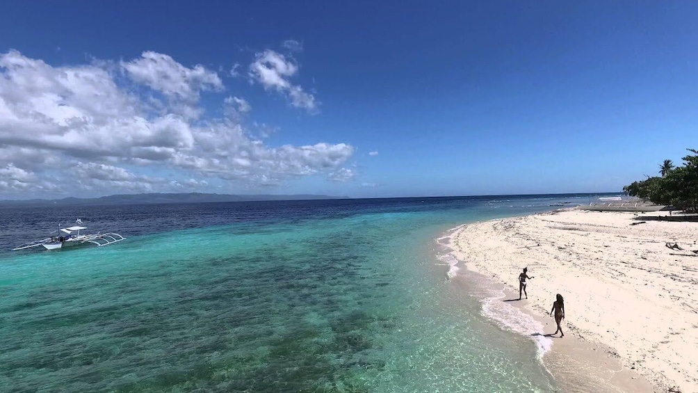 Show item 1 of 4. Bohol Pamilacan Island Snorkeling and Dolphin Watching Tour