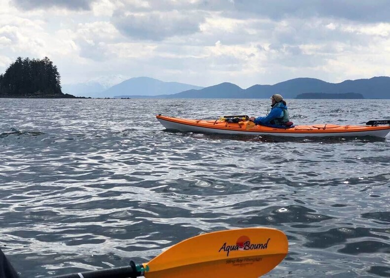 Show item 1 of 2. Nature Kayaking in Singapore