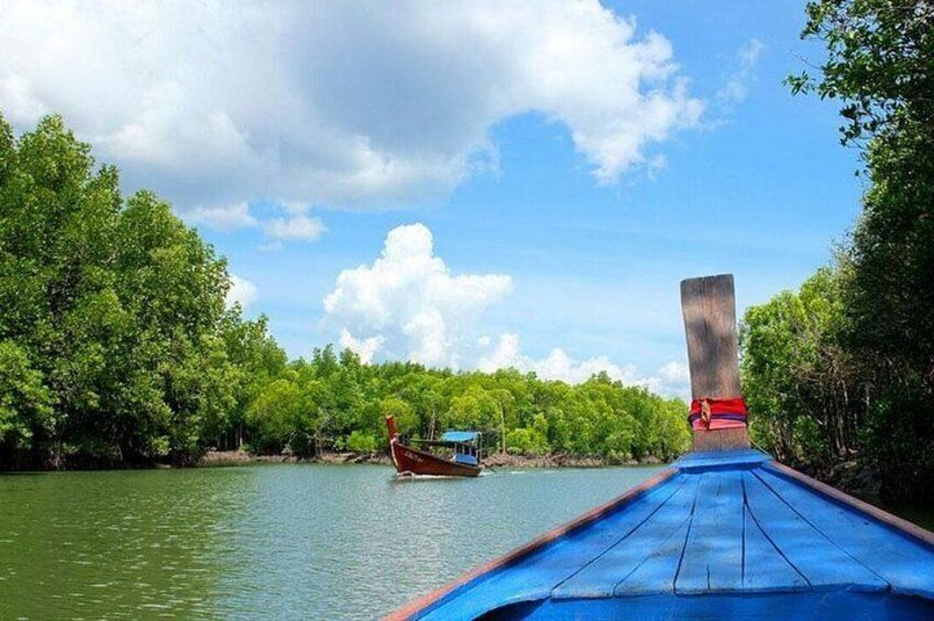 Half Day Mangrove Forest Kayaking Tour From Koh Lanta