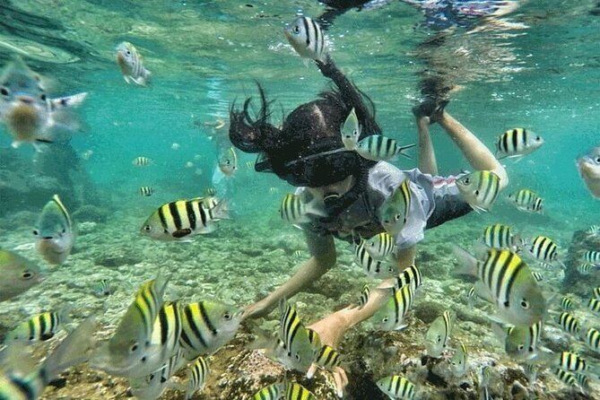 Bali Snorkeling At Blue Lagoon & Tanjung Jepun Beach: All-Inclusive