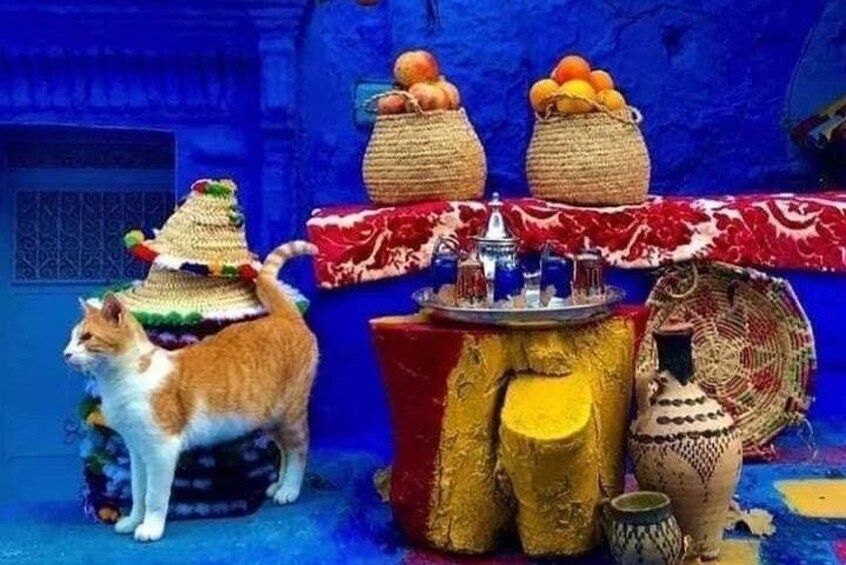 Special day trip to Chefchaouen