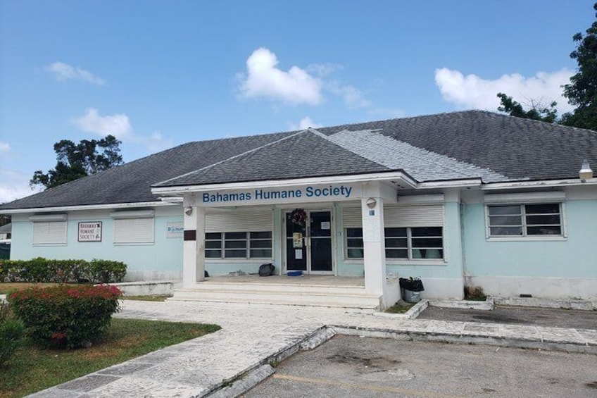 Views from the City of Nassau- Bahamas Humane Society