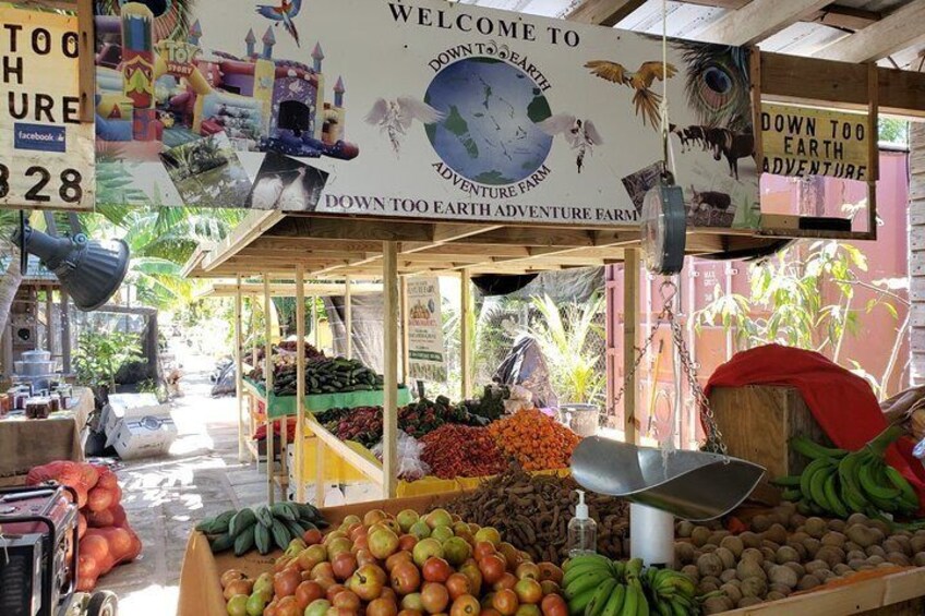 Views from the City of Nassau- Down to Earth Adventure Farm