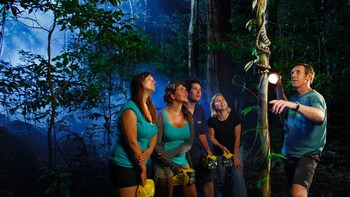 Jungle Adventure Night Walk