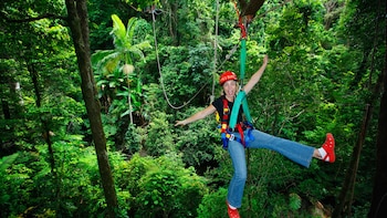 Cape Tribulation & Zipline Canopy Tour with River Cruise