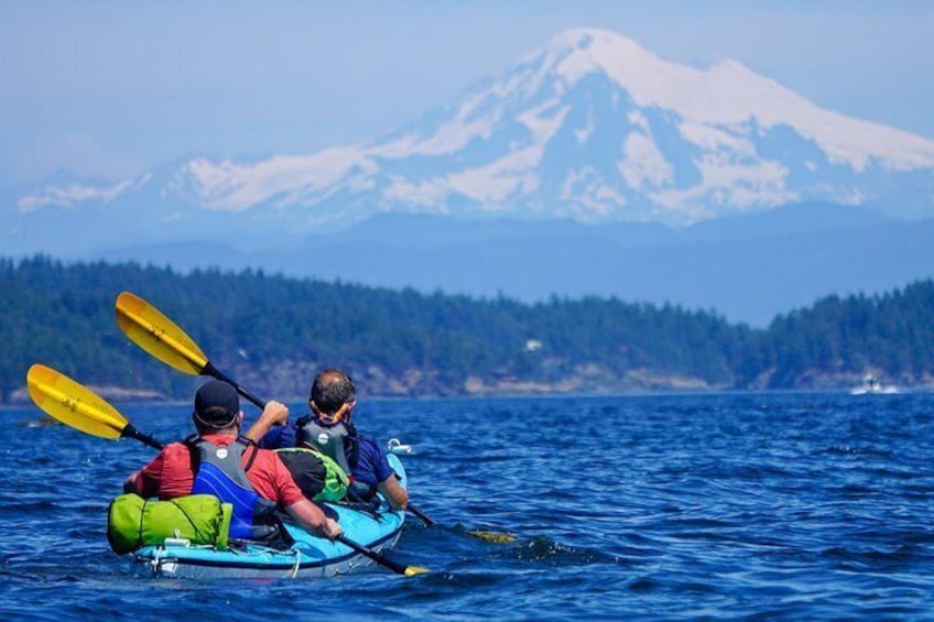 3-Hour Sea Kayak Tour in the San Juan Islands