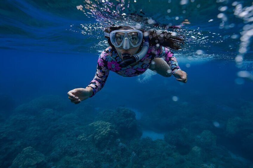 Turtle Town Snorkel with Photo and Video